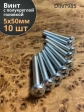 Винт с полукруглой головкой М5х50 ОЦ DIN7985, 10 шт.