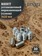Винт установочный нержавеющий 3х12 DIN913 (гужон)
