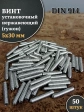 Винт установочный нержавеющий 5х30 DIN914 (гужон)