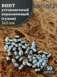 Винт установочный нержавеющий 3х5 DIN913 (гужон)