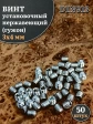 Винт установочный нержавеющий 3х4 DIN913 (гужон)