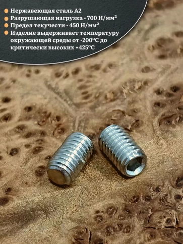 Винт установочный нержавеющий 3х10 DIN913 (гужон) фото 3