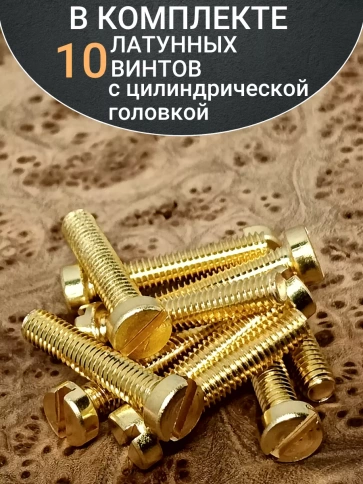 Винт 6х25 латунный с цилиндрической головкой DIN84,10 шт фото 4