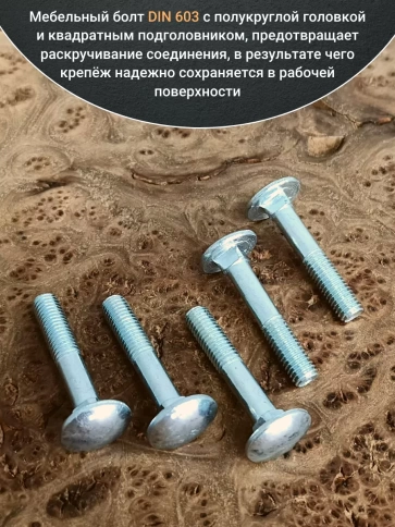 Болт мебельный М8х40 полукруглая головка ОЦ DIN 603,20 шт. фото 3