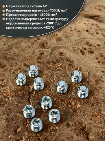 Винт установочный нержавеющий 6х5 DIN913 (гужон) фото 8
