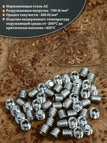 Винт установочный нержавеющий 6х5 DIN913 (гужон) фото 3
