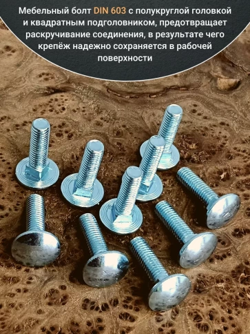 Болт мебельный М6х25 полукруглая головка ОЦ DIN 603,20 шт. фото 3
