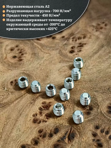 Винт установочный нержавеющий 3х4 DIN913 (гужон) фото 7