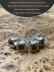фото 5